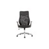 Crawford Mesh Back Office Chair