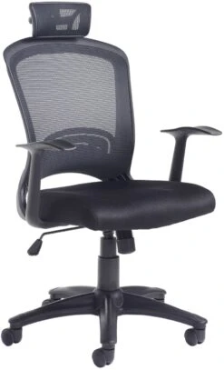 Energise Mesh Back Office Chair