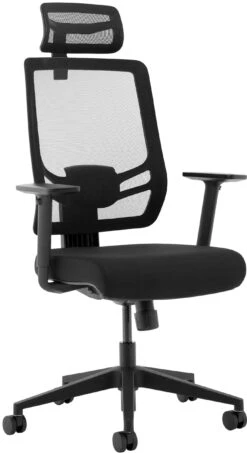 Ergo Curve Plus Fabric And Mesh Office Chair