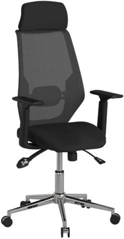 Cassis Mesh Office Chair